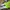 Adidas Adizero Takumi Sen 10 Aurora Black photo 4