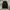 PPFM Avant Garde Y2K Vest Pria black photo 1