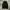 PPFM Avant Garde Y2K Vest Pria Black