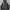 TNF PRIMALOFT