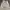 Champion Avant Garde Vintage Hoody Pria gray photo 8