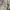 Champion Avant Garde Vintage Hoody Pria gray photo 3