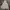 Champion Avant Garde Vintage Hoody Pria gray photo 1