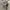 Champion Avant Garde Vintage Hoody Pria gray photo 5