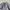 Vintage Cardigan Dark Gray Boxy photo 3