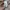 COS Streetwear Casual Midi dress Wanita white tan photo 4
