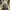 Dr. Martens 1461  photo 1