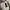 Von Dutch Y2K Sportswear Hat Wanita blue photo 4