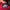 Nike Coquette Casual Hoody Pria red photo 6