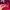 Nike Coquette Casual Hoody Pria red photo 4
