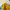 Pull and Bear Top Yellow - Kaos Kuning Pull&Bear photo 4