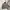 Scotch & Soda Company Vintage Jacket photo 1