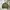 Bomber Jacket Fieldcore