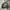 Bomber Jacket Fieldcore photo 5