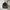 Arc’teryx Beslayer Halfzip photo 1