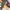 VASHEA LIZZY Flatshoes Sepatu Wanita Sol Karet Hak 2cm photo 3