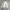 Field Casual Harrington Canvas Jacket photo 5