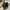Flat shoes hush puppies samantha black photo 5