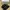 Sandal Suicoke Urich Black