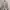 Light Grey Crop Sweater Oversize photo 2