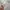 Light Grey Crop Sweater Oversize photo 5