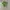 Uniqlo Casual Crop top Wanita green photo 1