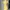 Mango Yellow Dress Outer