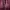 Burgundy Ruffle Blouse Satin Fancy Shimmer photo 3