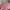 Longchamp medium long handle MLH in Petal Pink photo 8