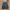 Harrington Kangol