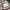Birkenstock Streetwear Casual Hoody Pria multicolor photo 6