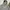 Birkenstock Streetwear Casual Hoody Pria multicolor photo 4