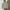 Birkenstock Streetwear Casual Hoody Pria multicolor photo 3