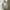 Birkenstock Streetwear Casual Hoody Pria multicolor photo 1