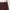 Rok Cotton On