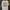 Kaos Walt Disney World Attractions Opening Date Timeline 197