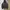 Feltics Streetwear Casual Sweater Pria multicolor photo 3