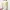 Cardigan Uniqlo Baby Yellow Soft Yellow Oneck Basic
