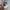 Vivienne Westwood Cardigan broken white photo 4