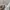 Vivienne Westwood Cardigan broken white photo 3
