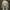 Karen Millen Trench Coat