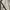 Karen Millen Trench coat photo 4