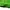 Vintage Bobson Flared Green Pants photo 4