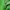 Vintage Bobson Flared Green Pants photo 5