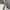Contrast Trim Belted Crossbody Bag White photo 3