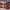 AIR JORDAN RETRO 4 X LEVIS BLUE ,  AIR JORDAN RETRO 4 X LIVE photo 5