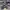 AIR JORDAN RETRO 4 X LEVIS BLUE ,  AIR JORDAN RETRO 4 X LIVE photo 3