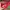 Authentic Cath Kidston Long Wallet photo 6
