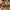 Authentic Cath Kidston Long Wallet photo 9