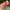 Authentic Cath Kidston Long Wallet photo 3